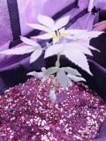 IMG_20230112_081723