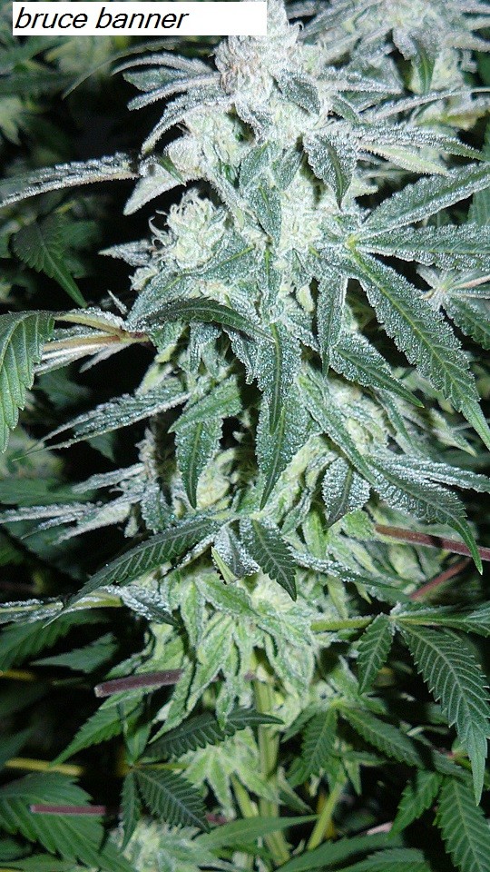 drobes 14 01 23 020