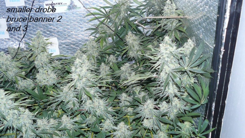 drobes 14 01 23 031