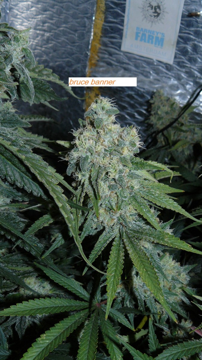 drobes 14 01 23 034