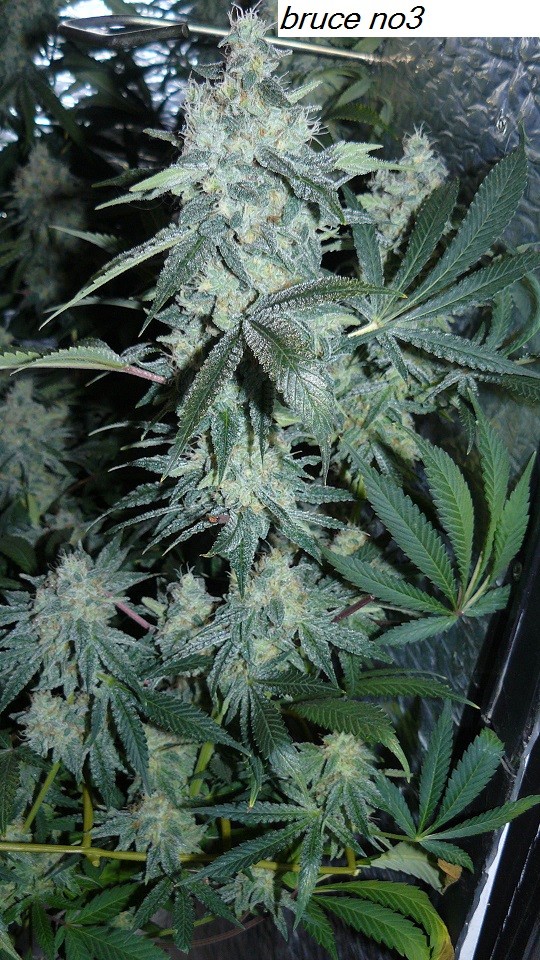 drobes 14 01 23 038