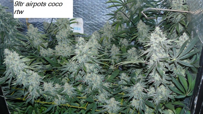 drobes 14 01 23 046
