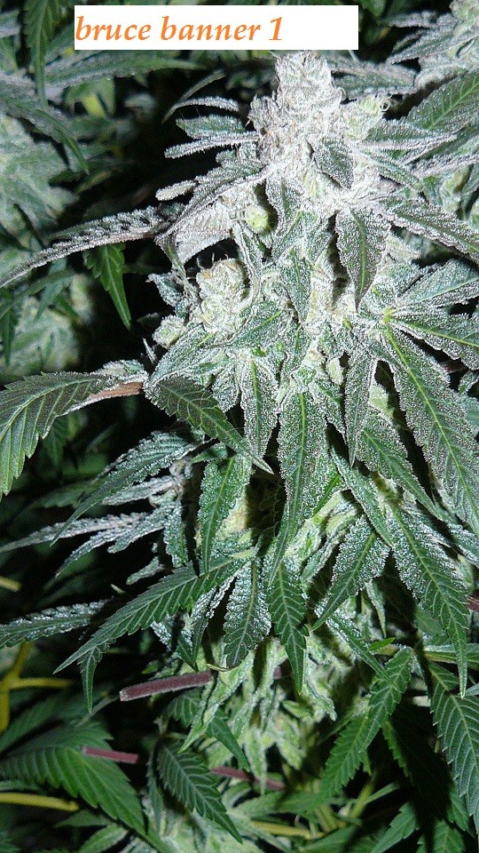 drobes 19 01 23 015