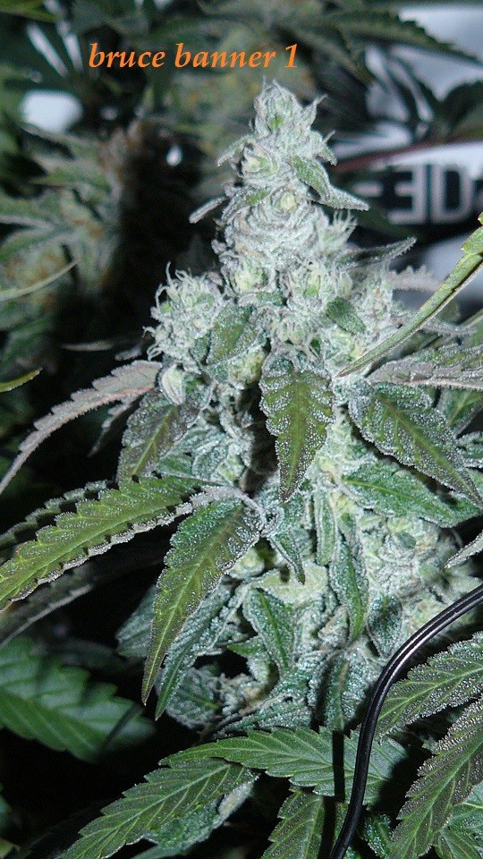 drobes 19 01 23 021
