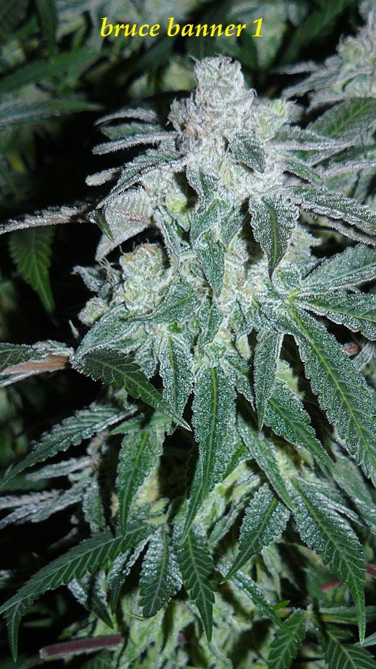 drobes 19 01 23 026