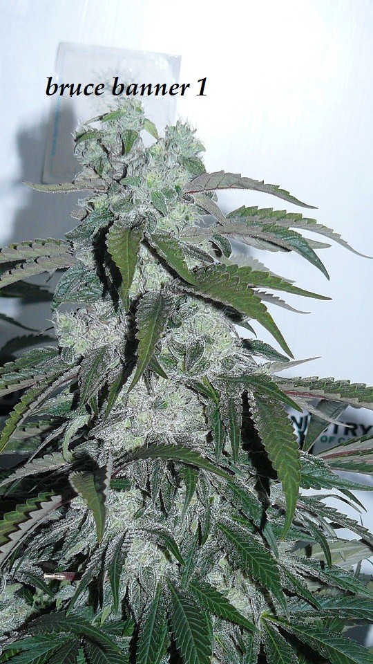 drobes 19 01 23 027