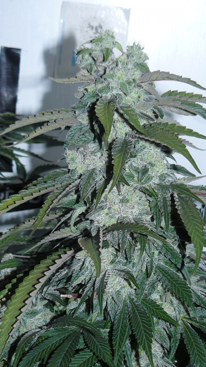 drobes 19 01 23 028