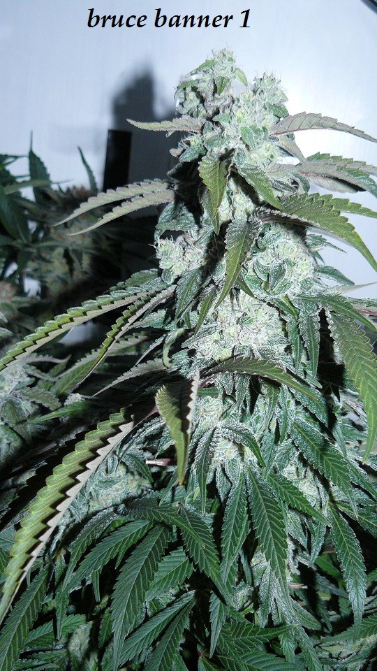 drobes 19 01 23 032