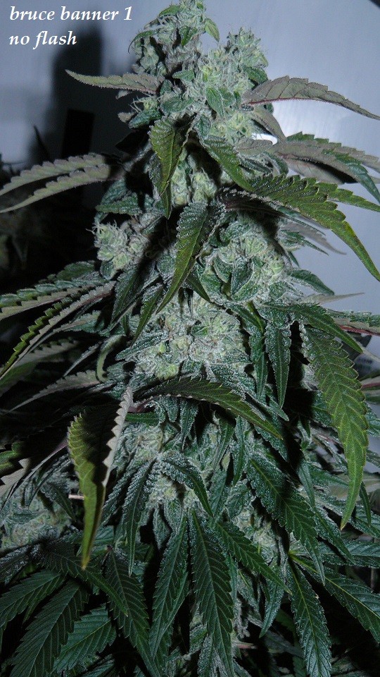 drobes 19 01 23 033