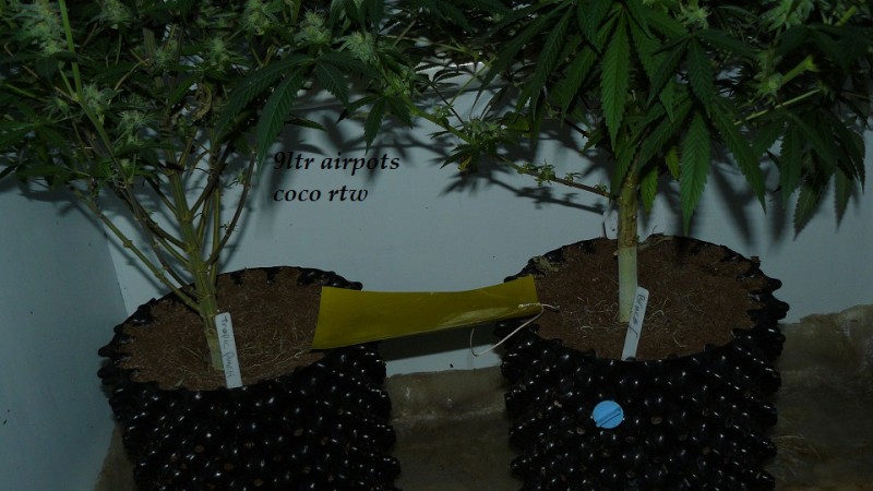 drobes 19 01 23 036