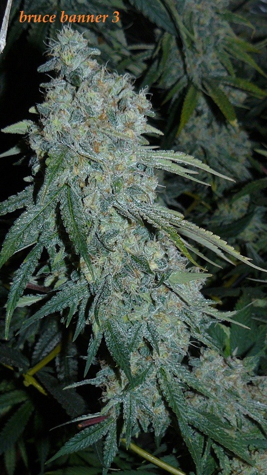 drobes 19 01 23 044