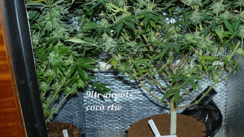 drobes 19 01 23 057