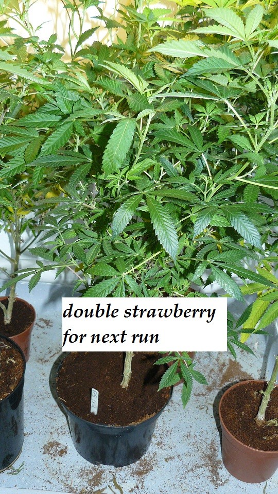 drobes 19 01 23 062