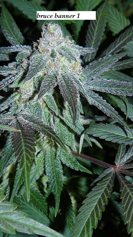 drobes 26 01 23 023