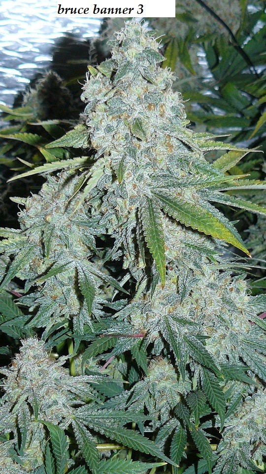 drobes 26 01 23 035