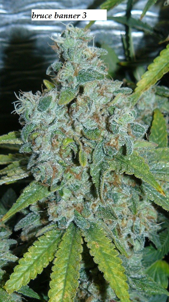 drobes 26 01 23 038