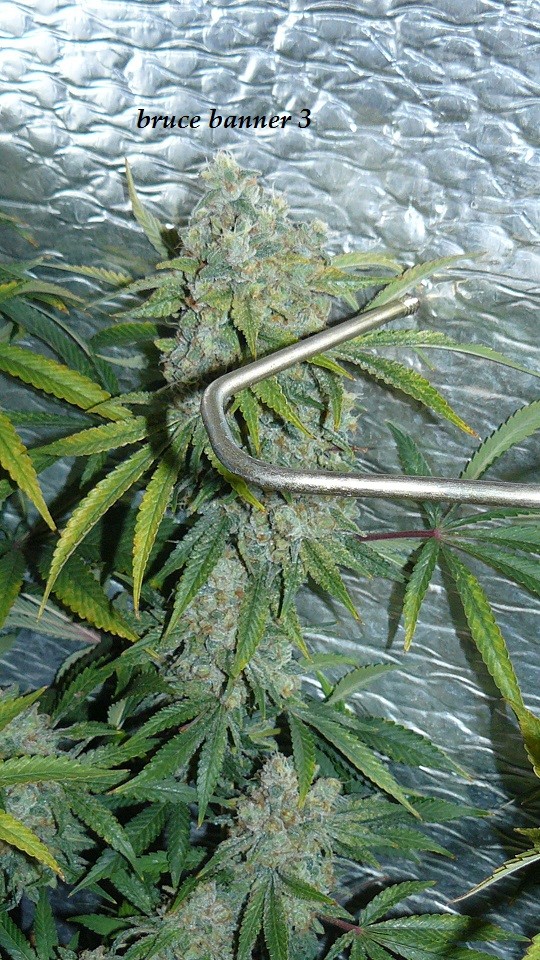 drobes 26 01 23 051