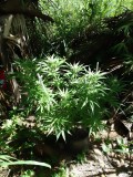 IMG_20230128_114414