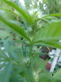 IMG_20230125_164748