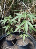 IMG_20230128_124700