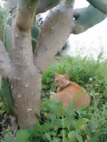 IMG_20230118_162702