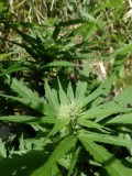 IMG_20230202_104356
