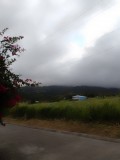 IMG_20230204_165826