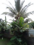 IMG_20230206_084240