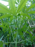 IMG_20230215_175840