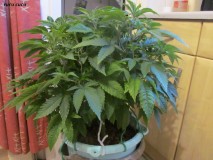 20-2-23 flip (2)