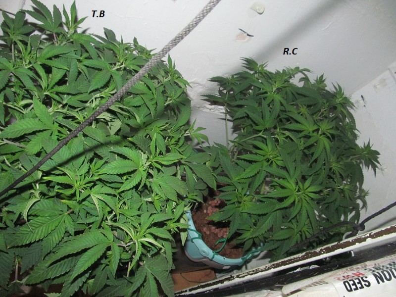 20-2-23 flip (3)