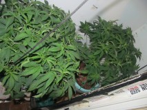 20-2-23 flip (9)