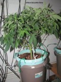 20-2-23 flip (10)